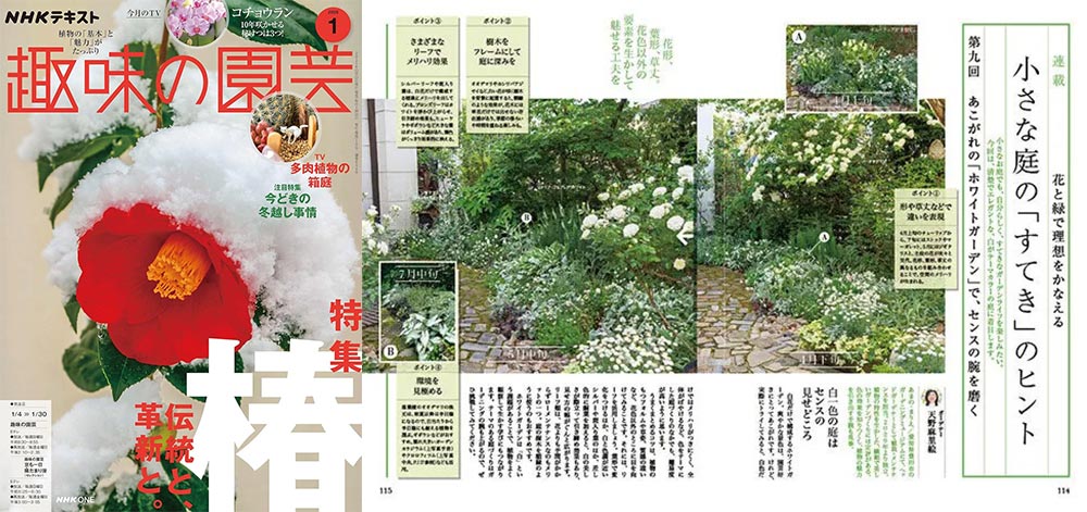 NHK趣味の園芸2026.1月号【連載】花と緑で理想をかなえる 小さな庭の「すてき」のヒント 第9回あこがれの「ホワイトガーデン」で、センスの腕を磨く JGN創立メンバー 花遊庭ガーデナー 天野 麻里絵氏