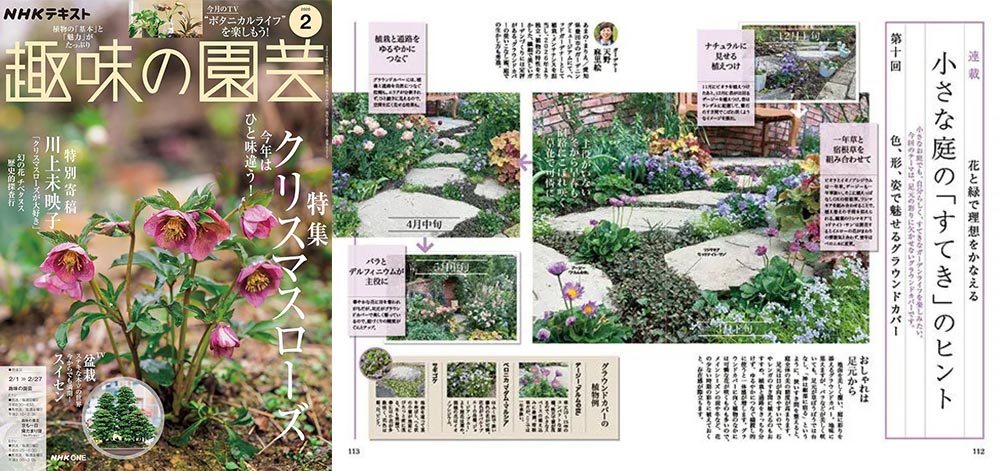 NHK趣味の園芸2026.2月号【連載】花と緑で理想をかなえる 小さな庭の「すてき」のヒント 第10回 色、形、姿で魅せるグラウンドカバー JGN創立メンバー 花遊庭ガーデナー 天野 麻里絵氏