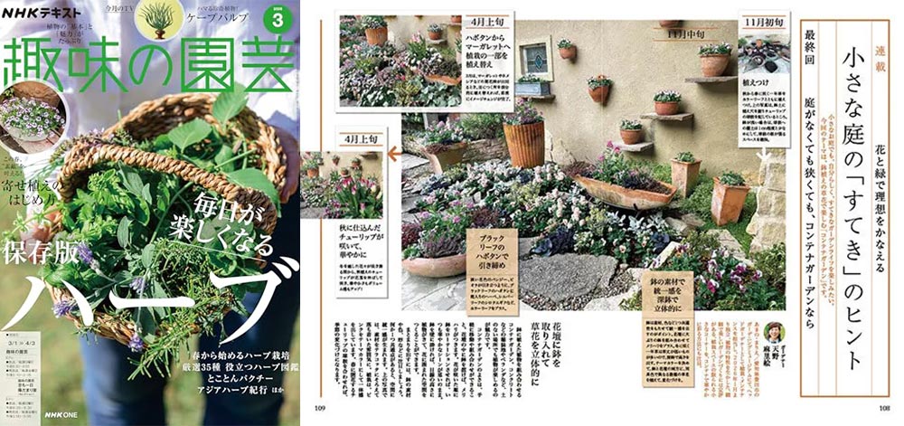NHK趣味の園芸2026.3月号【連載】花と緑で理想をかなえる 小さな庭の「すてき」のヒント 最終回 庭がなくても狭くても、コンテナガーデンなら JGN創立メンバー 花遊庭ガーデナー 天野 麻里絵氏