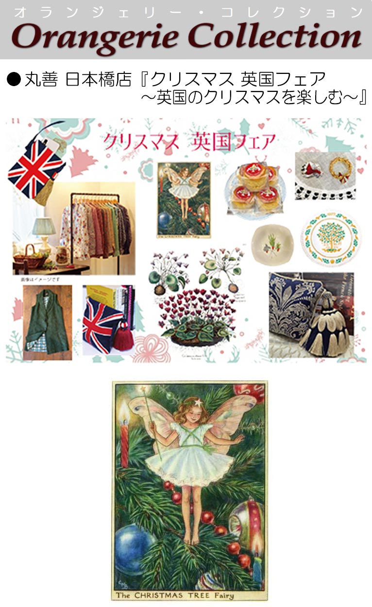 2025年12月10～25日 丸善 日本橋店『クリスマス 英国フェア ～英国のクリスマスを楽しむ～』 植物画を展示販売します！ オランジェリー・コレクション