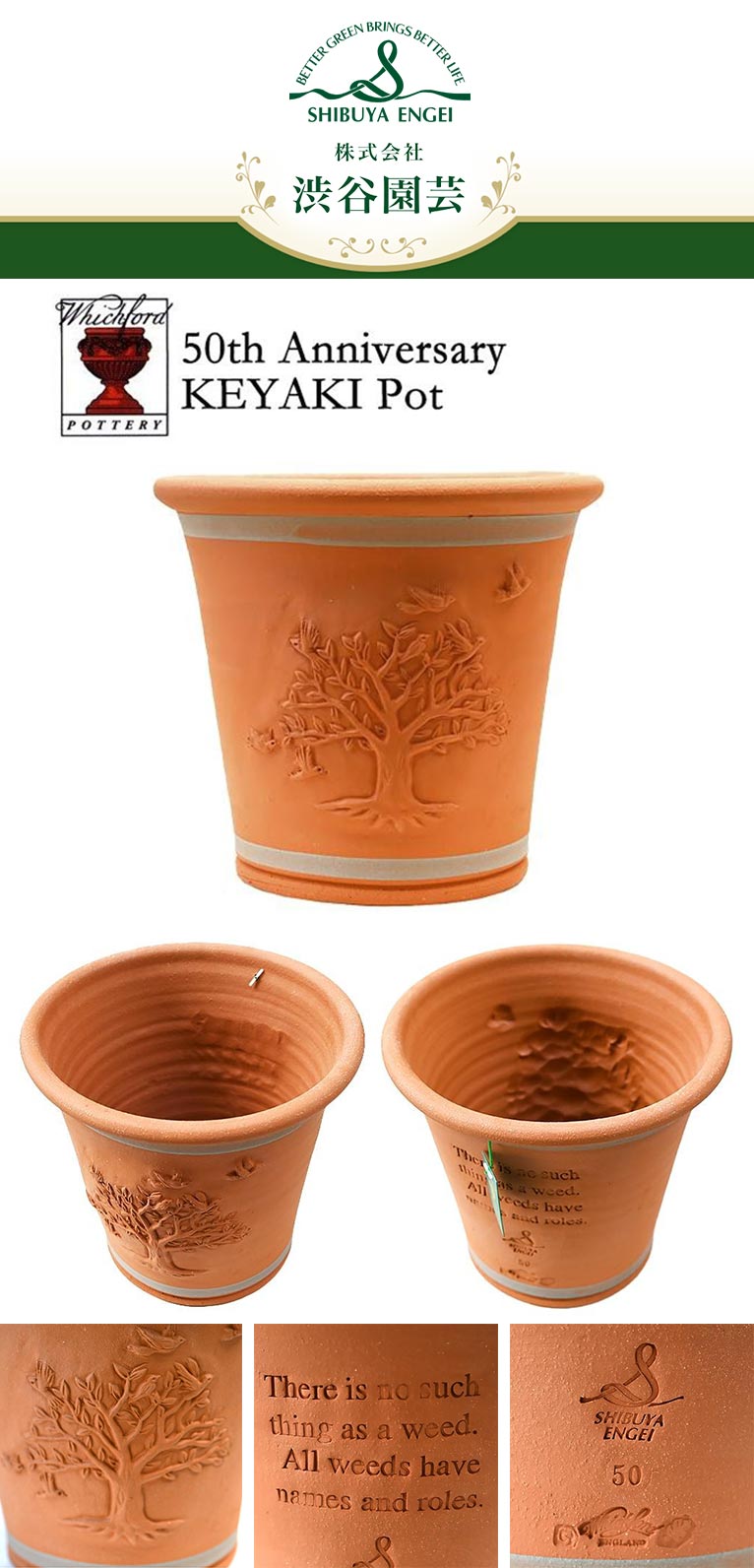 ウィッチフォード『渋谷園芸50周年記念ポット』50th Anniversary KEYAKI Pot　Yahoo!ショッピング植木鉢屋　株式会社 渋谷園芸