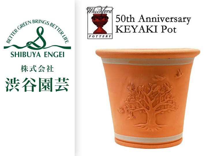 ウィッチフォード『渋谷園芸50周年記念ポット』50th Anniversary