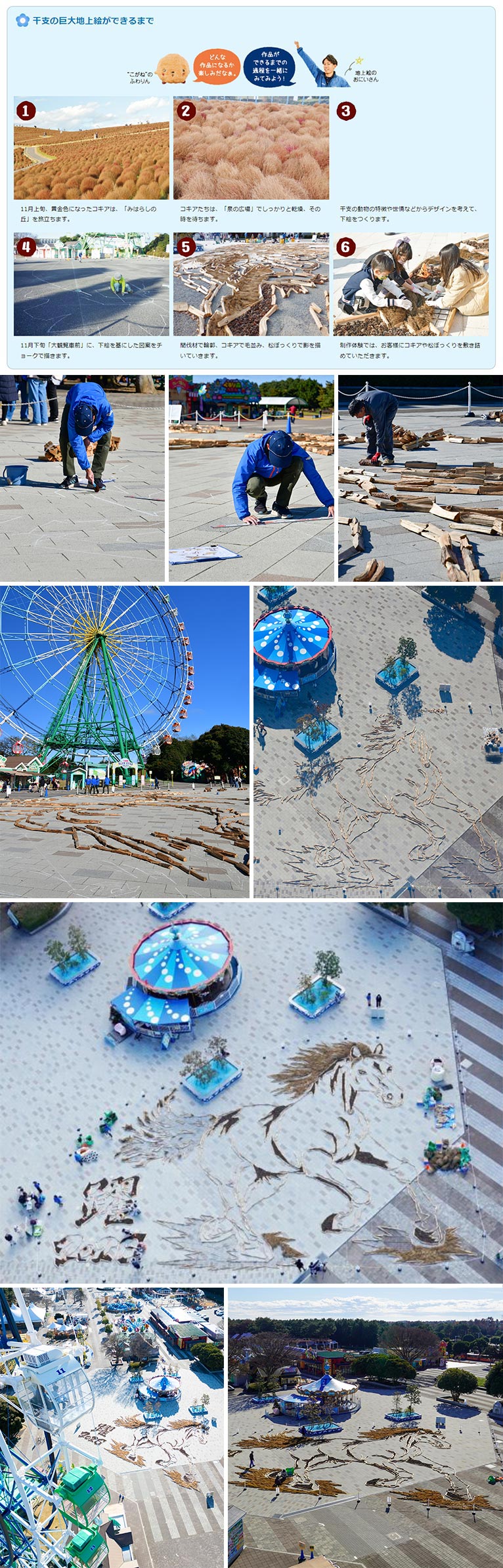 2025年12月13日～2026年1月12日展示　国営ひたち海浜公園の2026年の干支「午」の巨大地上絵を制作しました！　株式会社砂押園芸　巨大地上絵の制作過程