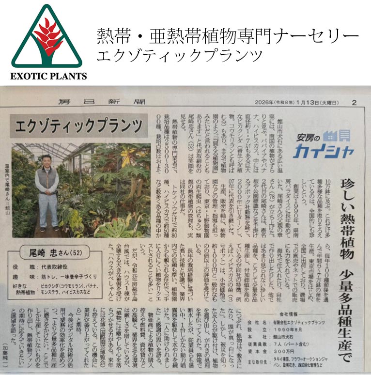 房日新聞に取材していただきました　エクゾティックプランツ