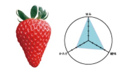 2026年1月4日～3月31日いちご狩り 夢見るいちご研究所2026 株式会社ゲブラナガトヨ