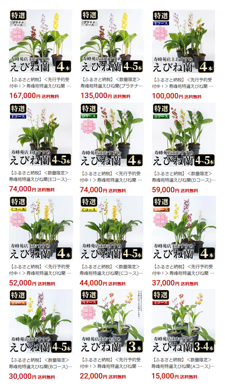 【ふるさと納税情報】寿峰苑 (鹿児島県いちき串木野市)