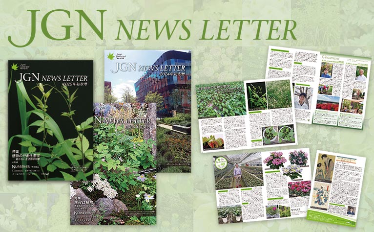 会報ニュースレター