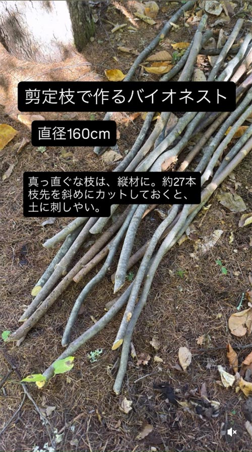 『バイオネスト作り』恵泉女学園蓼科ガーデン