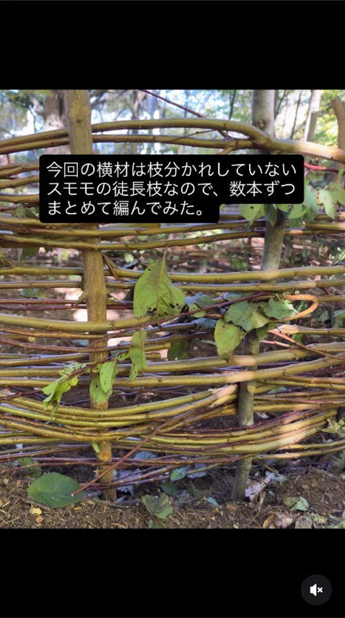 『バイオネスト作り』恵泉女学園蓼科ガーデン