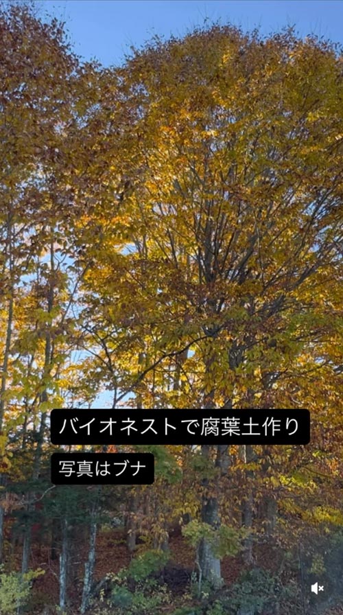 『バイオネストで腐葉土作り』恵泉女学園蓼科ガーデン