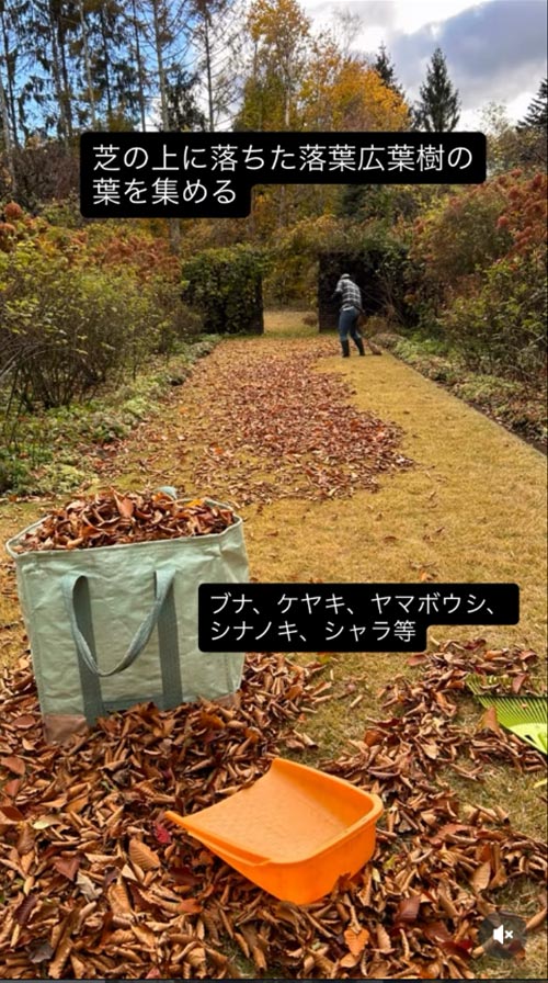 『バイオネストで腐葉土作り』恵泉女学園蓼科ガーデン