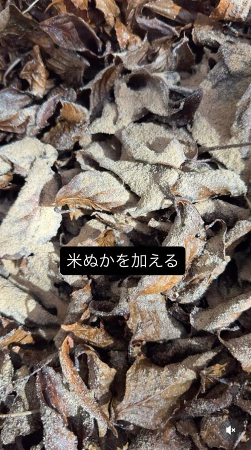 『バイオネストで腐葉土作り』恵泉女学園蓼科ガーデン