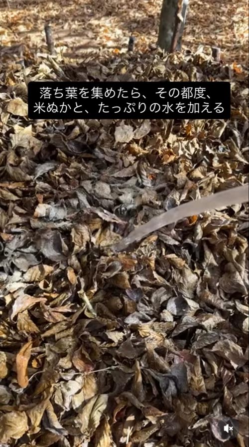 『バイオネストで腐葉土作り』恵泉女学園蓼科ガーデン