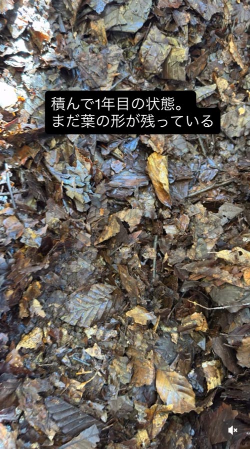 『バイオネストで腐葉土作り』恵泉女学園蓼科ガーデン