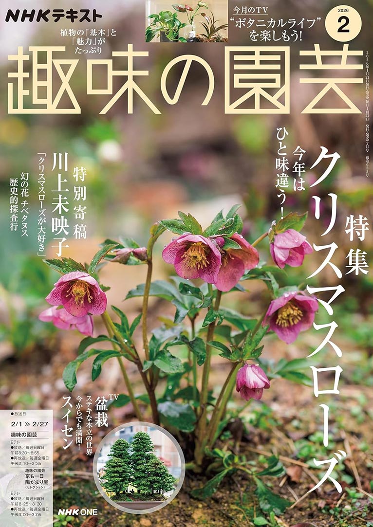 NHK趣味の園芸2026.2月号