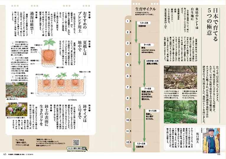 NHK趣味の園芸2026.2月号 幻の花 チベタヌス 日本で育てる5つの極意 JGNメンバー Zoony Garden 坂口 則夫氏