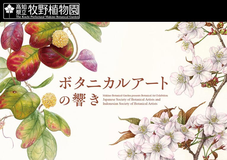2026年3月14日〜5月24日『ボタニカルアートの響き−日本とインドネシア