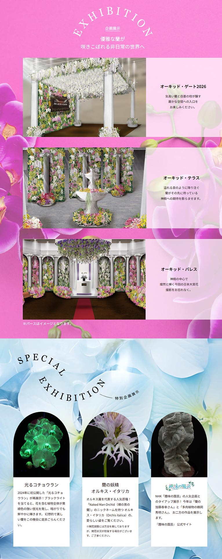 2026年2月5～11日『世界らん展2026-花と緑の祭典-』東京ドームシティ プリズムホール