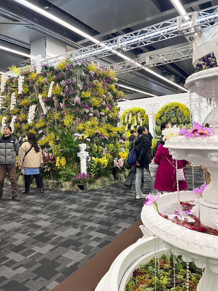 2026年2月5～11日『世界らん展2026-花と緑の祭典-』に出かけました。オーキッドテラスエリア　フォトスポットが多く設けられているので、スマートフォンを片手に立ち止まる方多数。