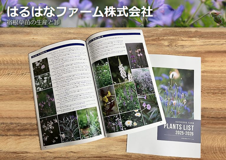 FLORA 本草纲目 10点セットおまけ付き 中世の庭の薬草事典 癒しと恵みのハーブ (ひみつの本棚シリーズ
