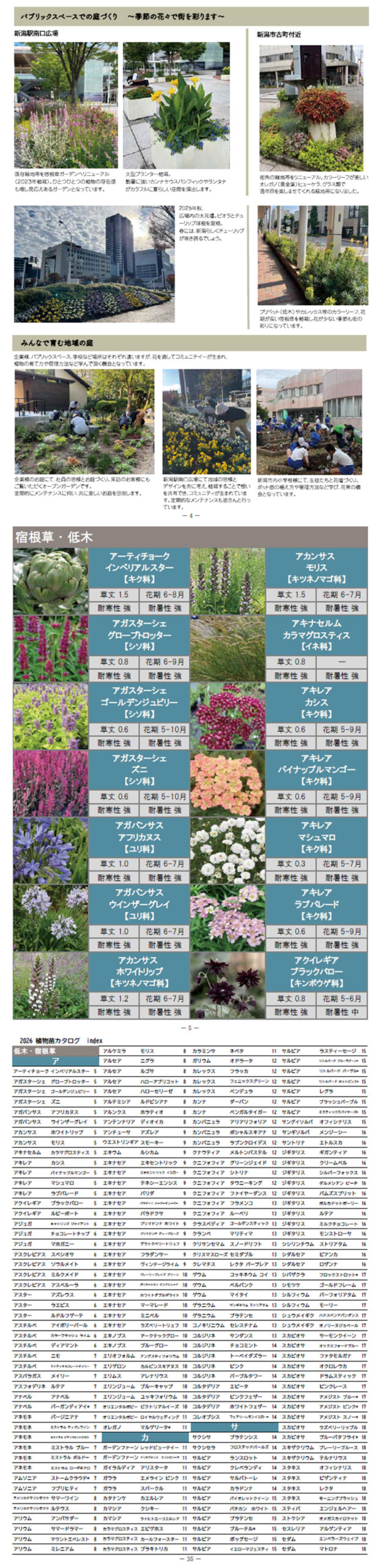 『2026植物苗カタログ』WEBでご覧いただけます！畑やかとうふぁーむ