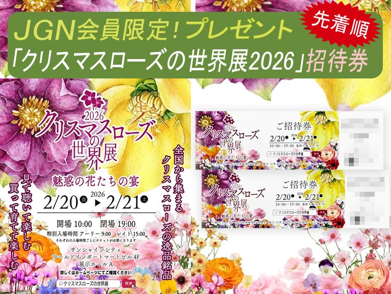 ★先着順★2026年2月14日～JGN会員限定『クリスマスローズの世界展2026ご招待券プレゼント』これからJGNにご入会される方もご応募いただけます！