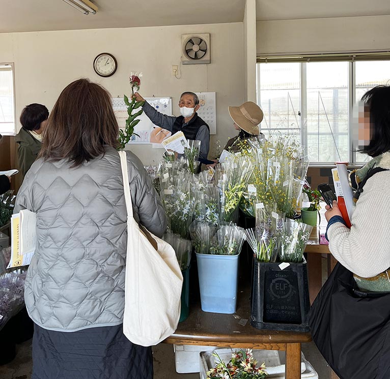 2026年3月14日開催 現地集合！JGNナーセリーツアー『【特別公開】三宅花卉園見学会2026』～育種のプロ・三宅 勇さんに学ぶ、宿根草と球根の世界～を終えて 出荷作業中の切り花の様子も見学させていただいた