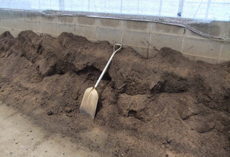 2026年3月14日開催 現地集合！JGNナーセリーツアー『【特別公開】三宅花卉園見学会2026』～育種のプロ・三宅 勇さんに学ぶ、宿根草と球根の世界～「土の力」を信じる栽培の実践