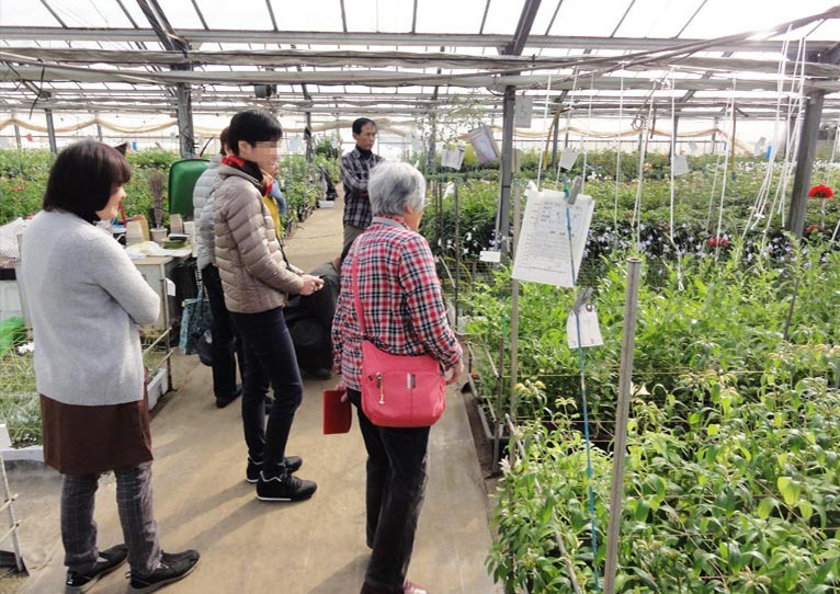2026年3月14日開催 現地集合！JGNナーセリーツアー『【特別公開】三宅花卉園見学会2026』～育種のプロ・三宅 勇さんに学ぶ、宿根草と球根の世界～ 温室内見学
