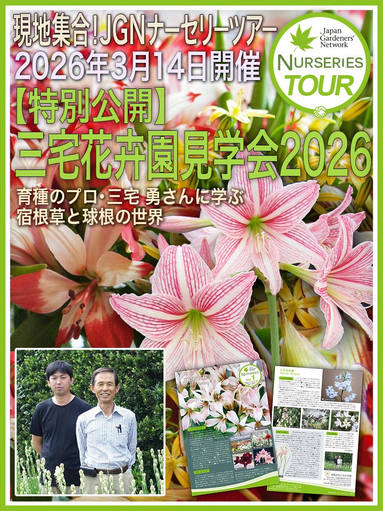 2026年3月14日開催 現地集合！JGNナーセリーツアー『【特別公開】三宅花卉園見学会2026』～育種のプロ・三宅 勇さんに学ぶ、宿根草と球根の世界～