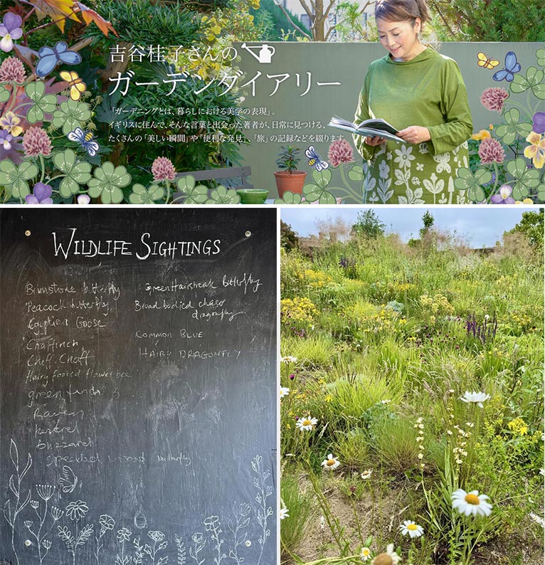 『Knepp Castle Estate『Rewilded Garden』ネップ城 リワイルディング・ガーデン』吉谷桂子のガーデンダイアリー ～花と緑と豊かに暮らすガーデニング手帖～