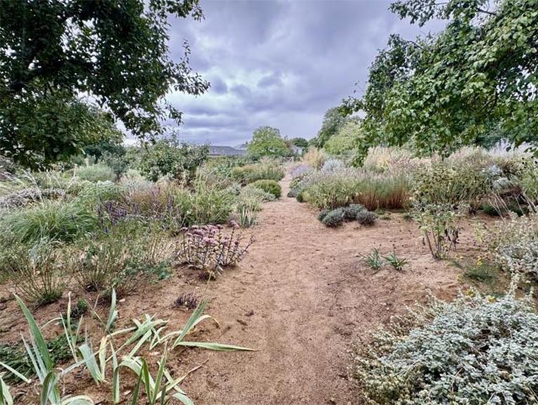 『生態学的美学という新しい庭のかたち』吉谷桂子のガーデンダイアリー ～花と緑と豊かに暮らすガーデニング手帖～