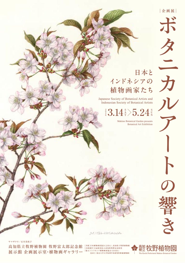 2026年3月14日〜5月24日『ボタニカルアートの響き−日本とインドネシアの植物画家たち』高知県立牧野植物園