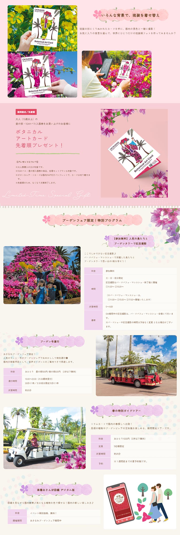 2026年2月28日～5月6日『おきなわブーゲンフェア2026』100万輪のブーゲンビレアが咲き誇る おきなわの春へようこそ　美らヤシパークオキナワ・東南植物楽園