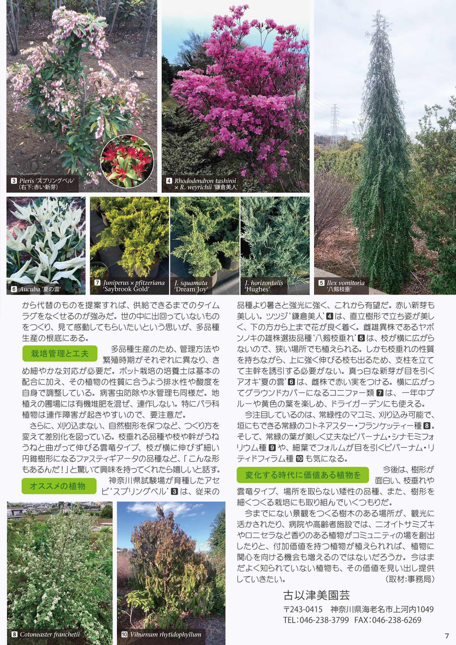 2026年4月18日開催　現地集合！JGNナーセリーツア『【特別公開】プロの圃場を巡る レア樹木探索＠古以津美園芸』JGNイベント記念限定公開！NURSERIES vol.39 古以津美園芸