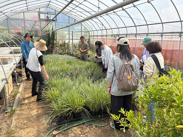 2026年4月18日開催　現地集合！JGNナーセリーツア『【特別公開】プロの圃場を巡る レア樹木探索＠古以津美園芸』ポット苗が栽培されているハウス内