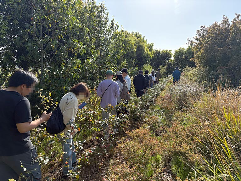 2026年4月18日開催　現地集合！JGNナーセリーツア『【特別公開】プロの圃場を巡る レア樹木探索＠古以津美園芸』3．広い圃場内を見学