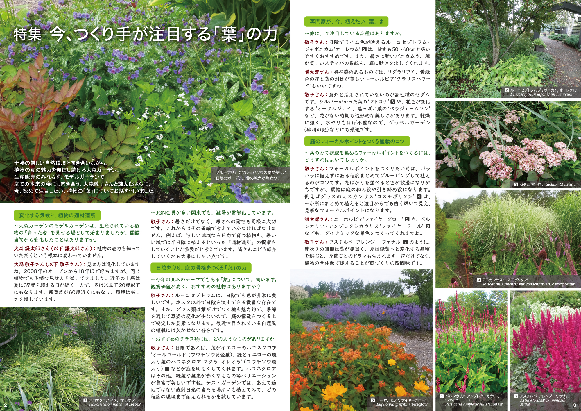 JGN NEWS LETTER 2026年春号 Vol.25