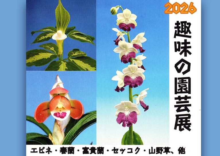 終了】2026年3月27～29日『趣味の園芸展(えびね展)2026』上野グリーン