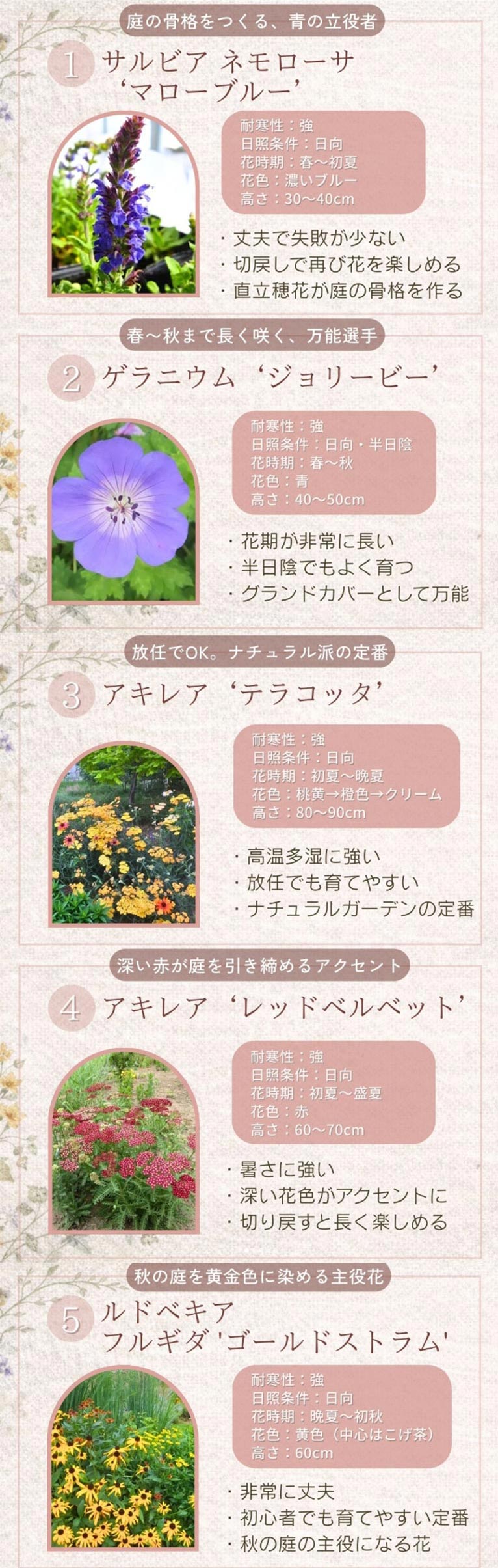 『初心者向き宿根草セレクション10種』大森ガーデン