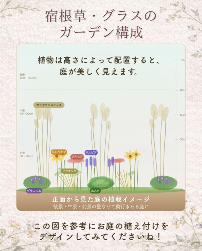 『初心者向き宿根草セレクション10種』大森ガーデン