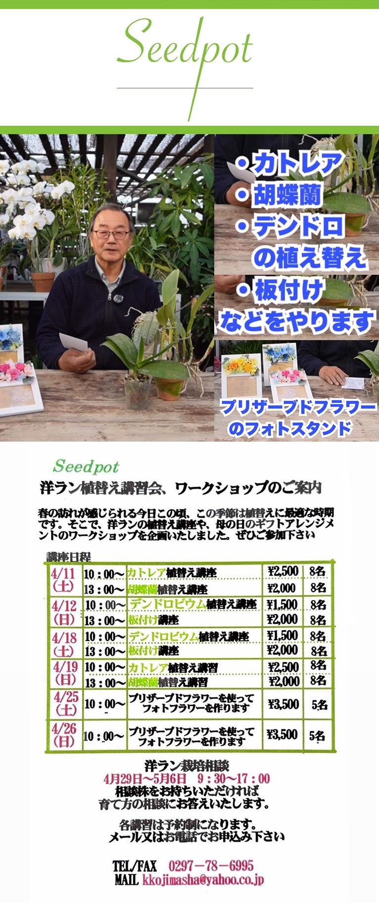 2026年4月11～26日　Seedpot 洋ラン植替え講習会、ワークショップ　4月29日～5月6日洋ラン栽培相談　株式会社小島舎