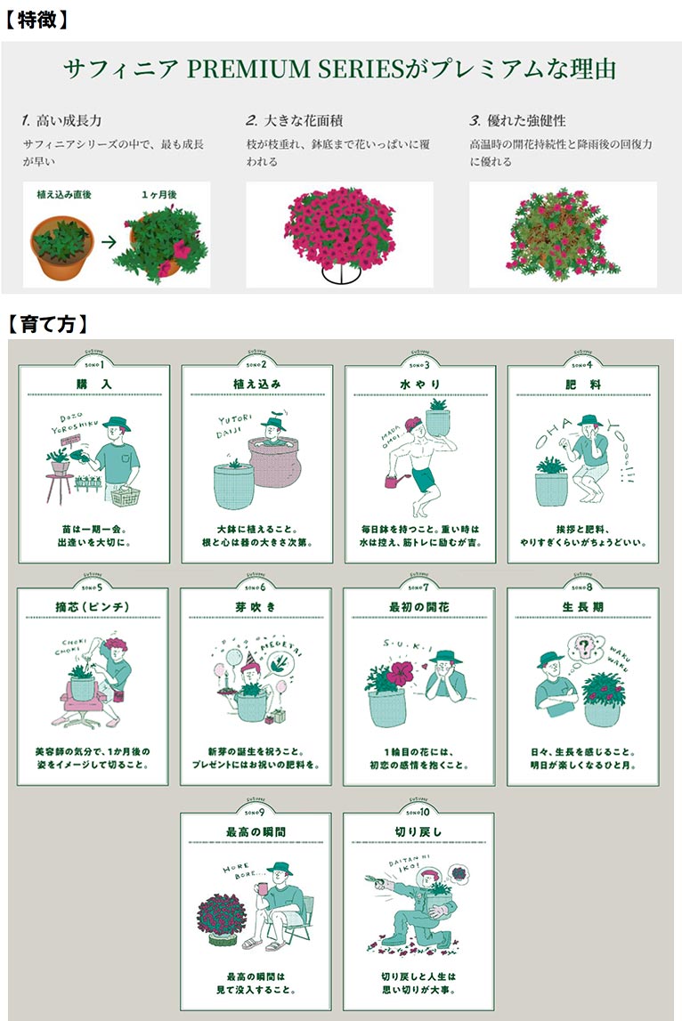 2026年3月22日サントリーフラワーズ『園芸トークショー～サフィニアプレミアムの育て方』渋谷園芸練馬本店　サフィニアプレミアムについて