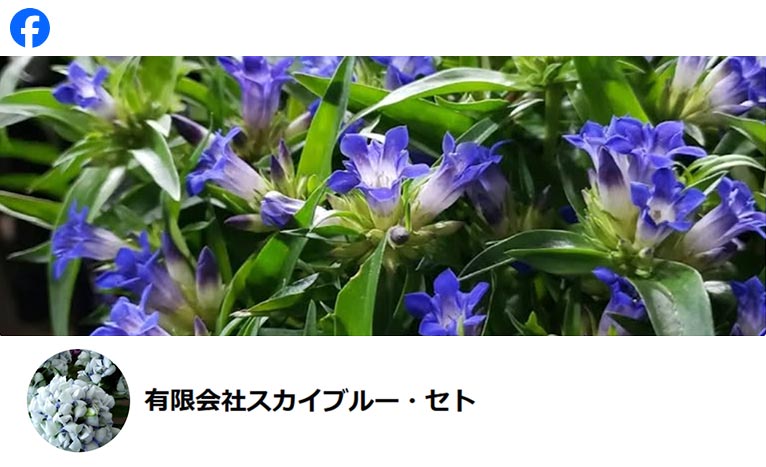有限会社スカイブルー・セト　紹介ページ facebook