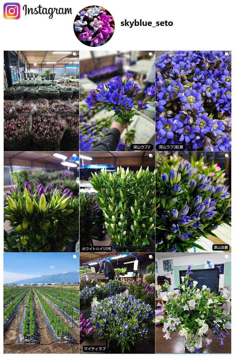 有限会社スカイブルー・セト　紹介ページ Instagram