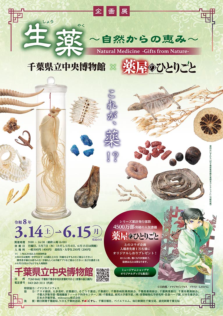 2026年3月14日～6月15日　企画展 千葉県立中央博物館 × 薬屋のひとりごと　『生薬〜自然からの恵み〜』4月29日(申込締切4月15日)『トークショー「毒と薬」』日向夏氏・山崎真巳氏