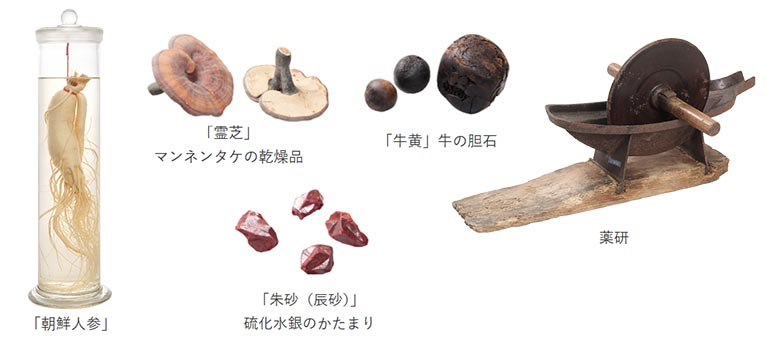 2026年3月14日～6月15日　企画展 千葉県立中央博物館 × 薬屋のひとりごと　『生薬〜自然からの恵み〜』4月29日(申込締切4月15日)『トークショー「毒と薬」』日向夏氏・山崎真巳氏