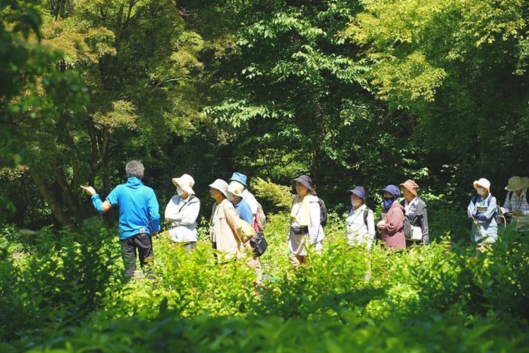 赤城自然園　本日の見どころを紹介するプログラム園内スポットガイド園内ガイド【当日予約】