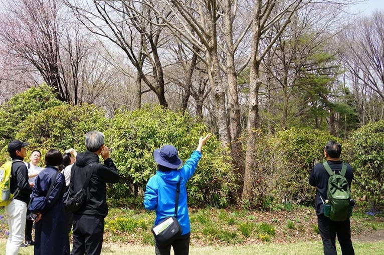 赤城自然園　本日の見どころを紹介するプログラム園内プライベートガイド【要予約】