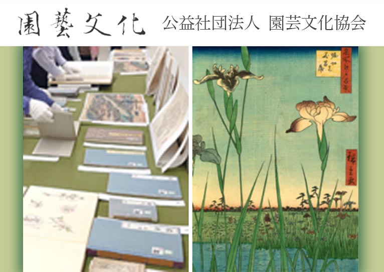 2026年4月19日・5月17日・6月28日・7月19日・8月23日・9月20日　『江戸の園芸で遊ぶ』＠名古屋　園芸文化協会